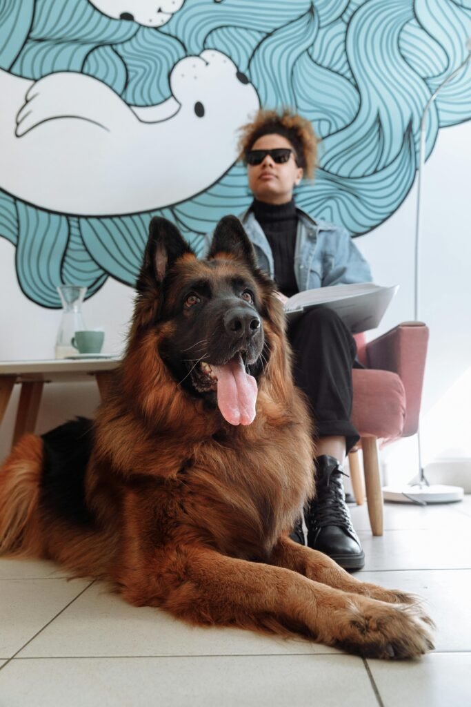 A blind woman sits with her German Shepherd guide dog indoors, showcasing their bond and teamwork.